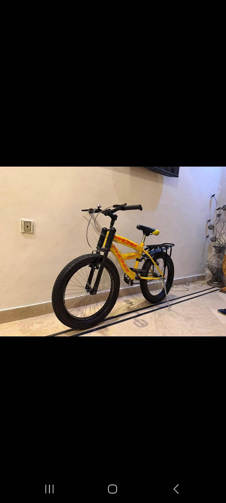 phonix bicycle 6