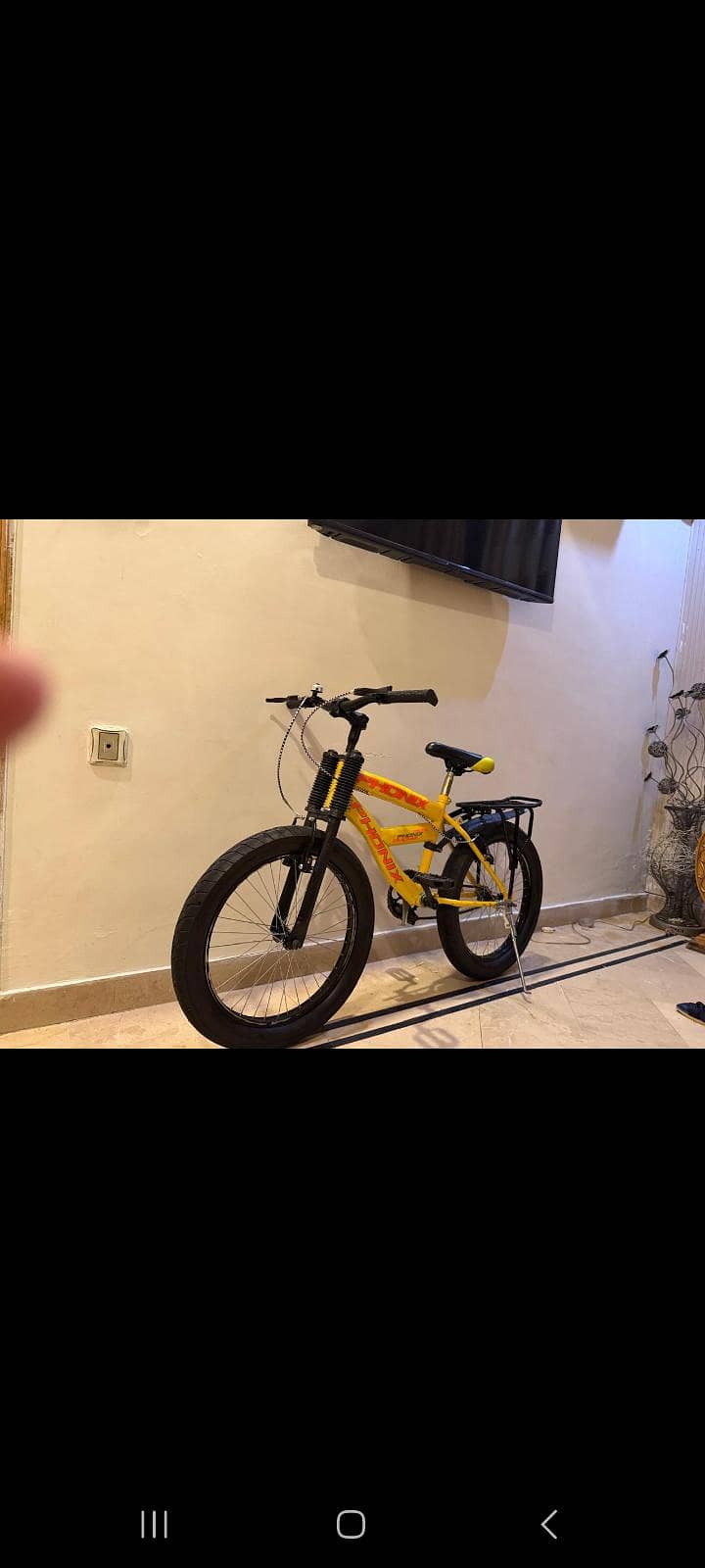 phonix bicycle 10