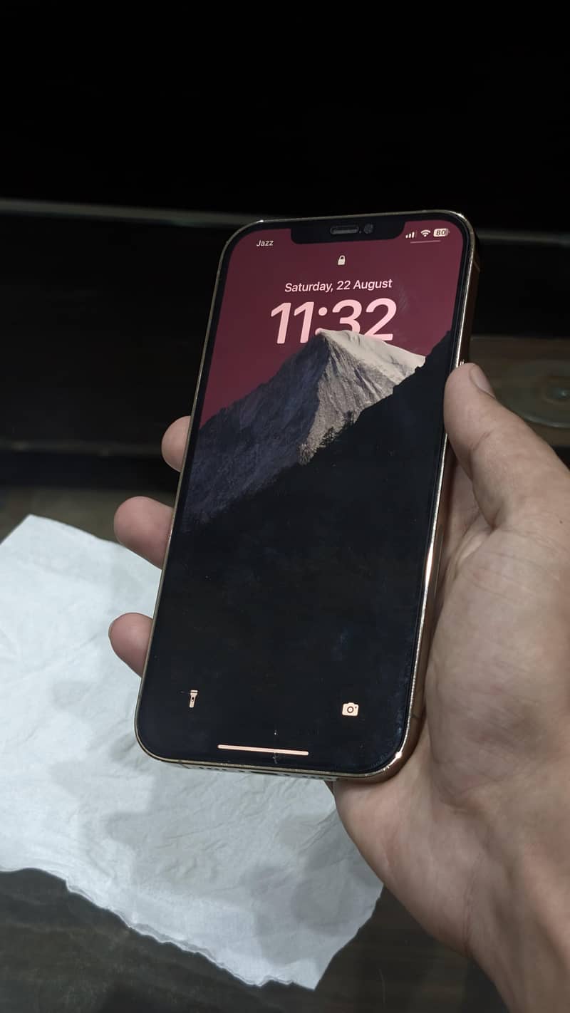 Apple iPhone 12 Pro Max 1