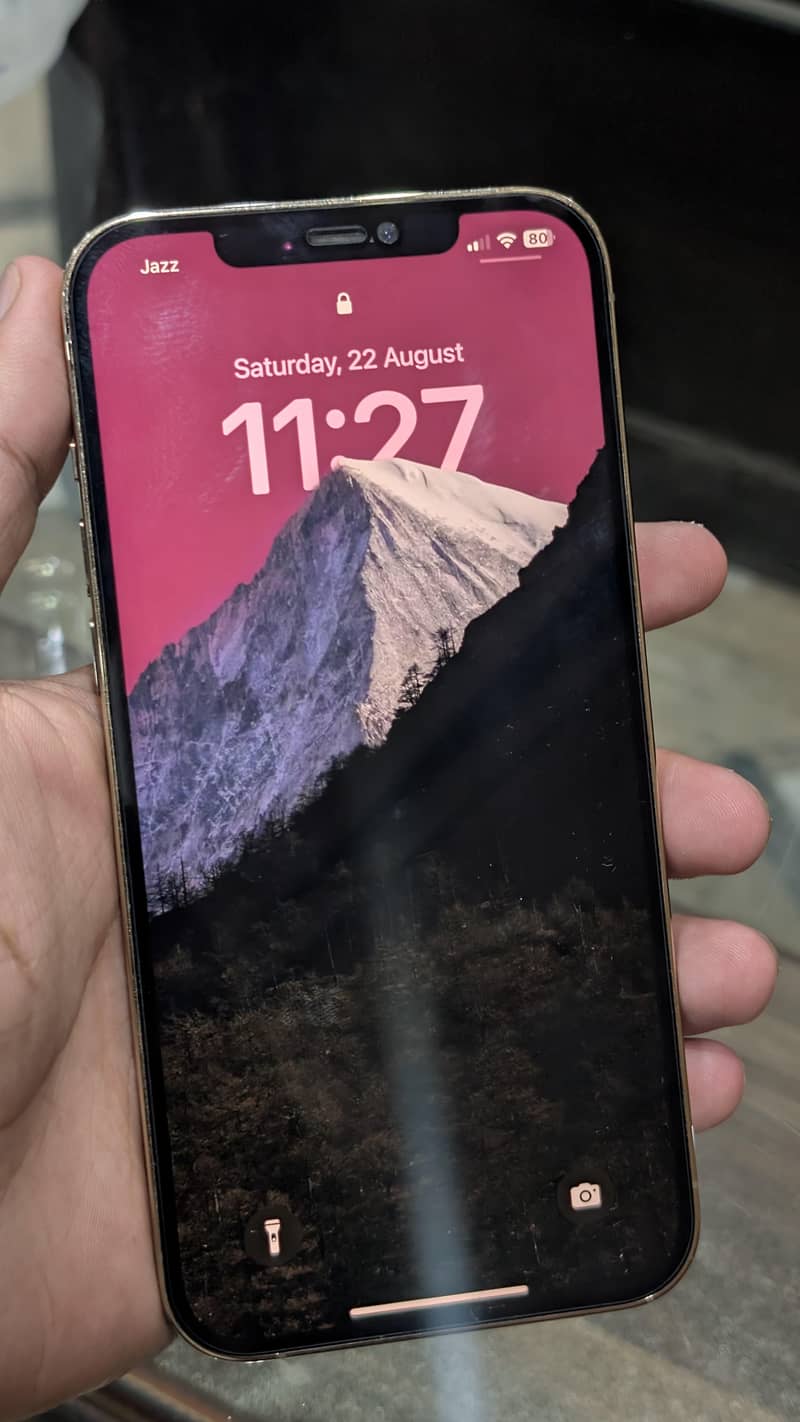 Apple iPhone 12 Pro Max 6