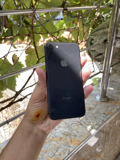 Apple iPhone 8 Non Pta 256Gb Waterpack