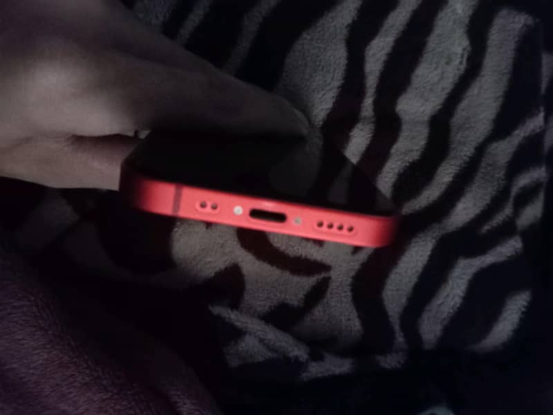 Apple iPhone 12 mini 7