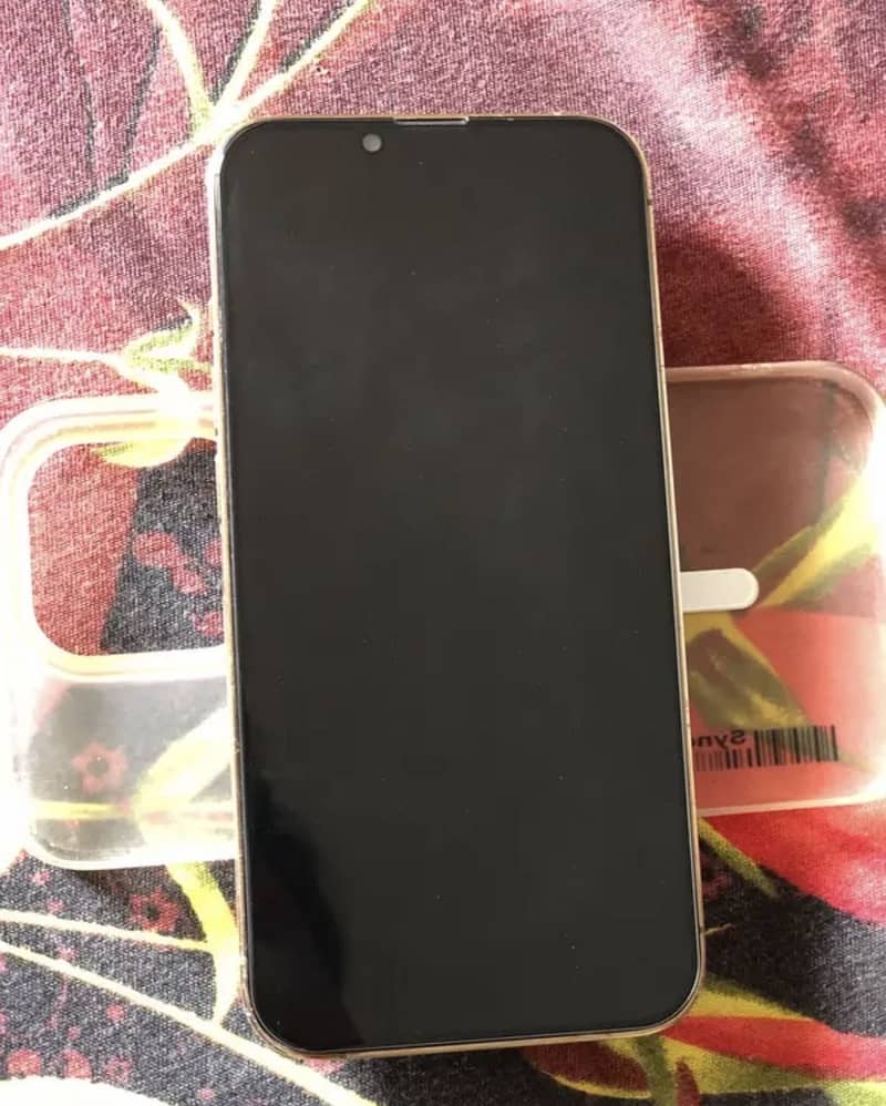 Apple iPhone 13 Pro 1