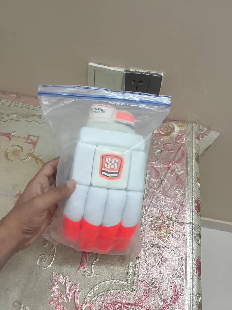 Cricket kit 2