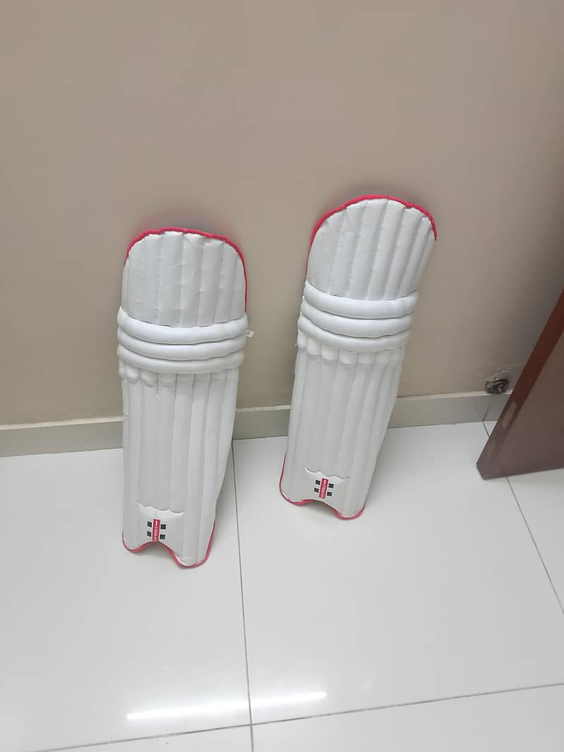 Cricket kit 4