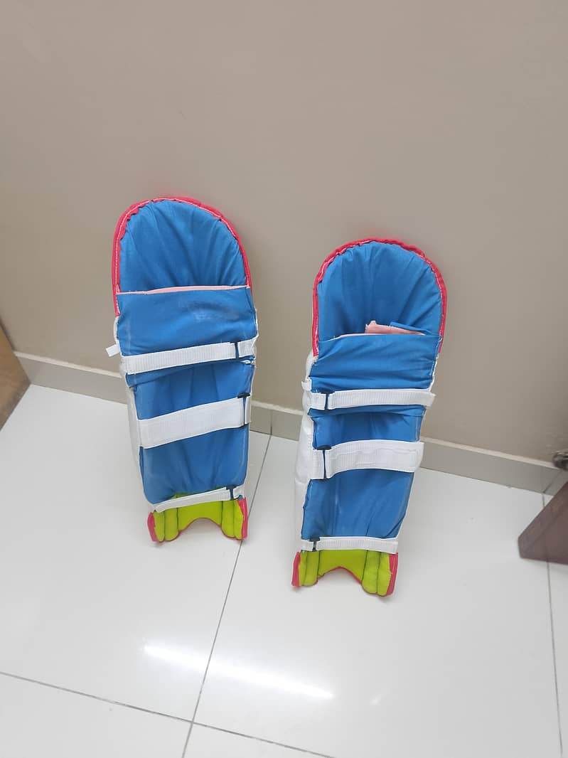 Cricket kit 5