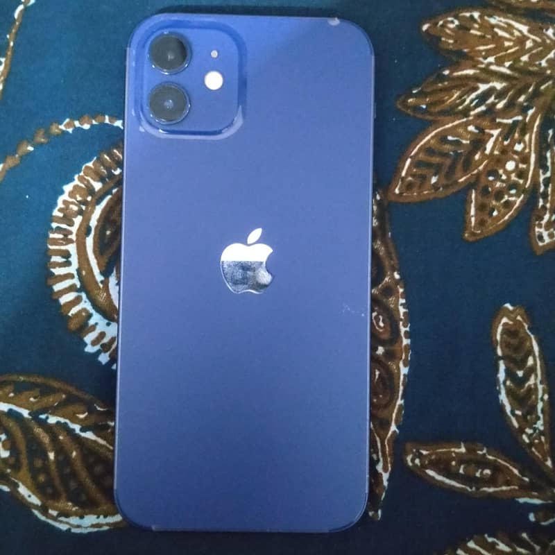 Apple iPhone 12 1