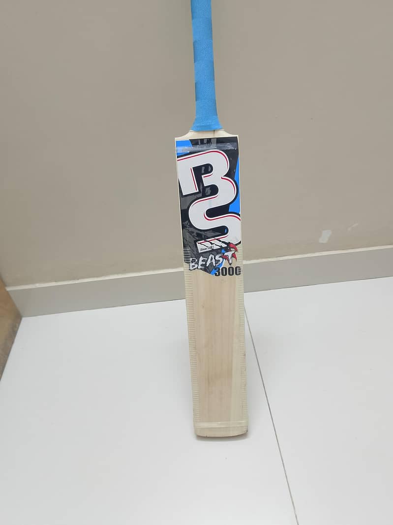 Cricket kit 10