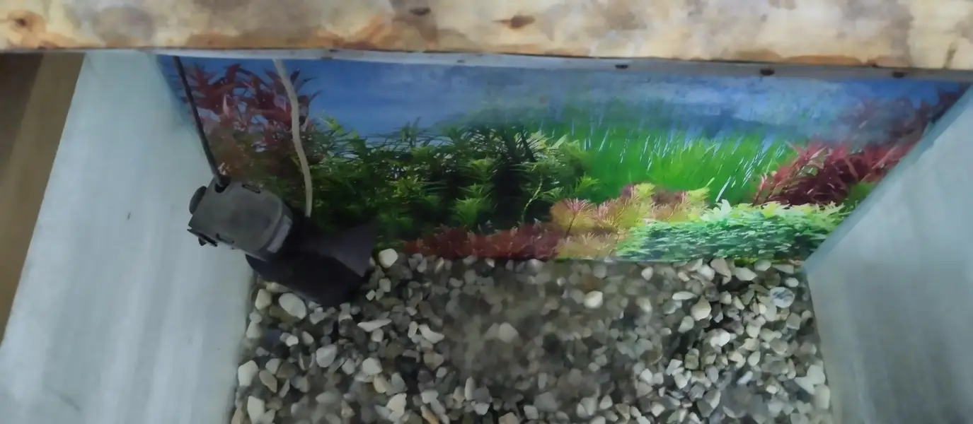 Fish Aquarium complete set — photo 4