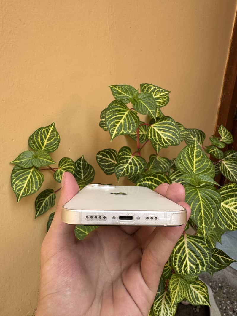 Apple iPhone 14 1