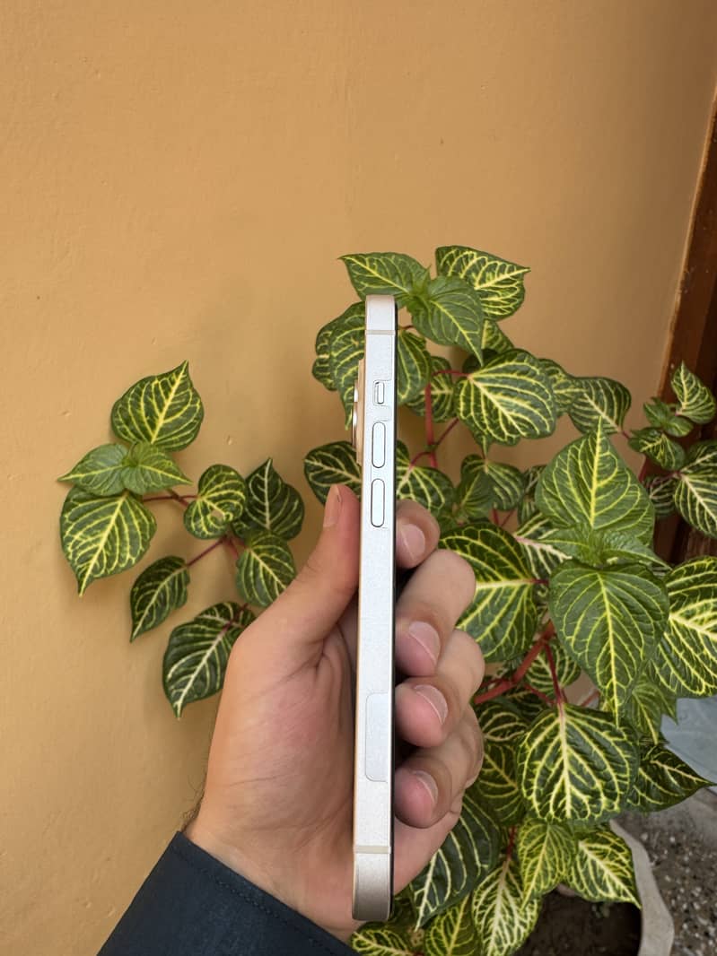 Apple iPhone 14 2