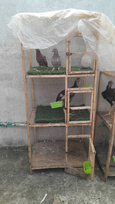Cage wooden