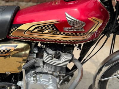 24/25 model colur gold