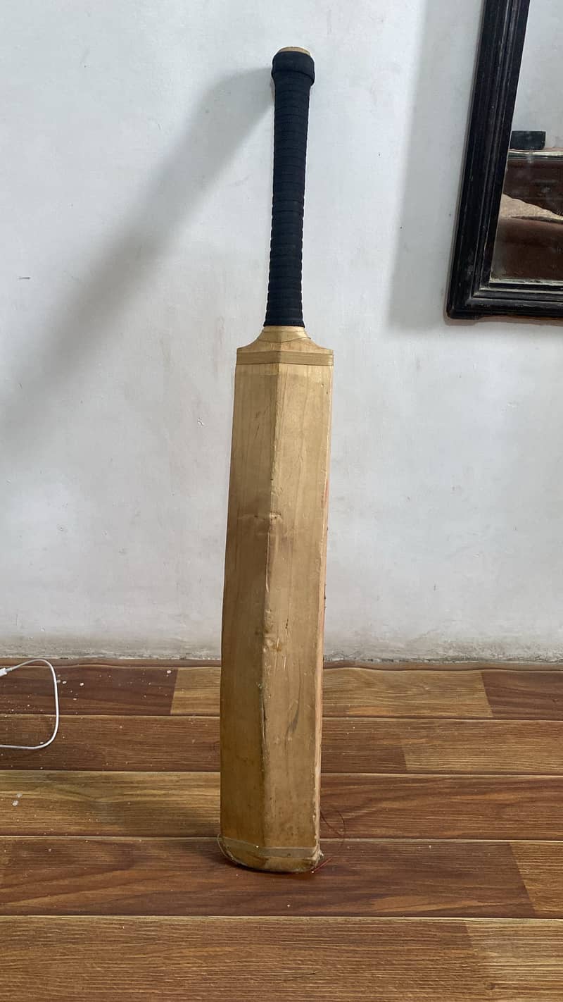 Cricket bat 0