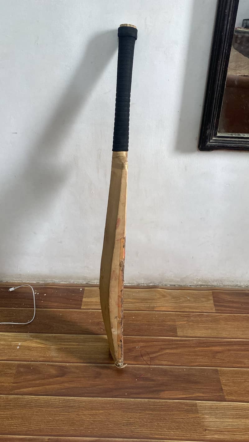 Cricket bat 1