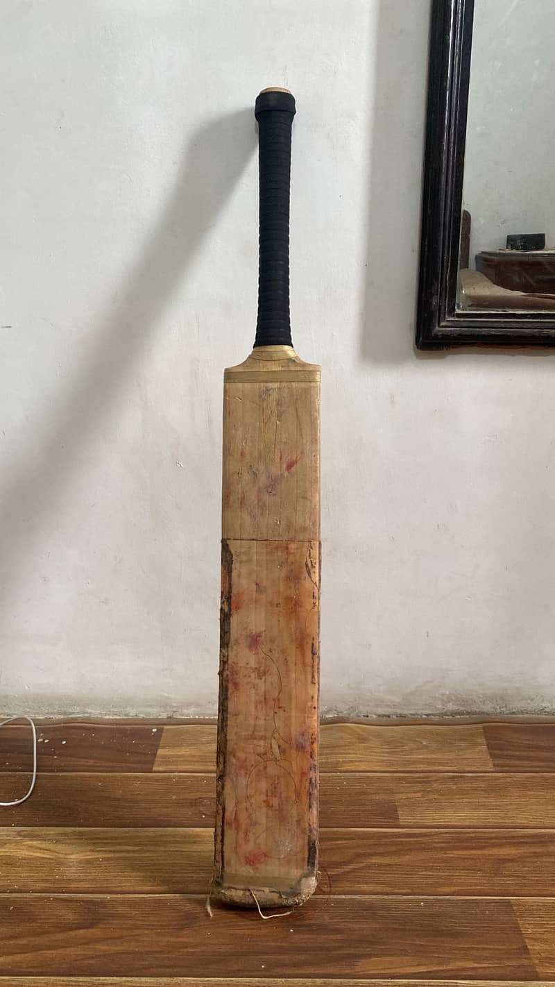 Cricket bat 2