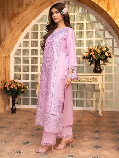 Ladies beautiful dress