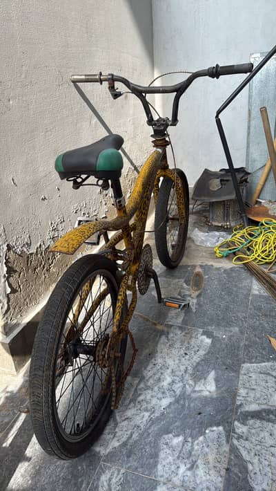 Tiger cycle. 03034606020