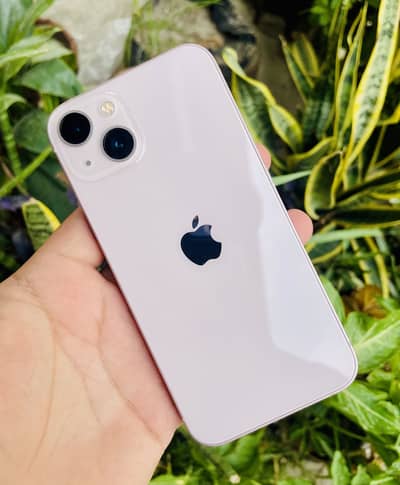 iPhone 13 Pink 256 GB | Battery 84% PTA APPROVED | X/11/12/13/14/15/16