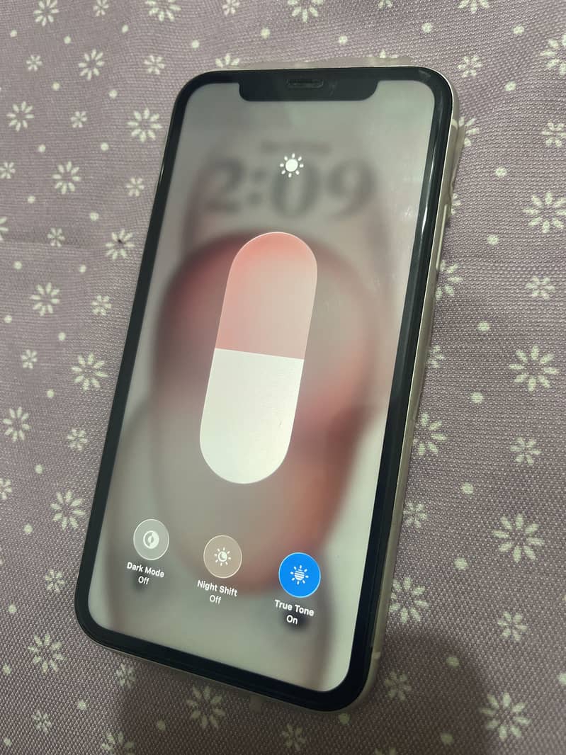Apple iPhone 11 1