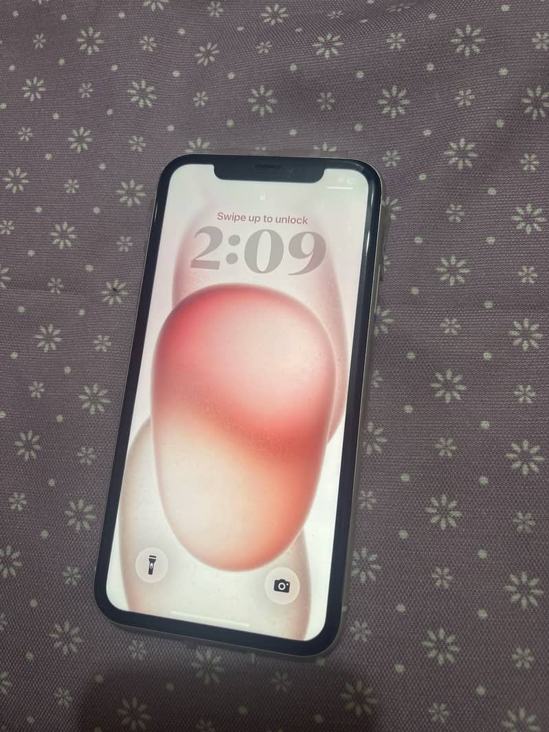 Apple iPhone 11 2