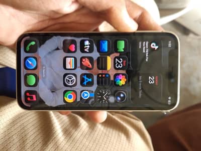 Apple iPhone 12 mini