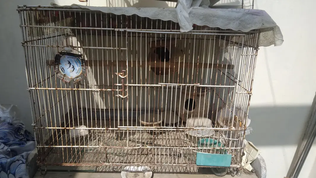 bird cage — photo 2