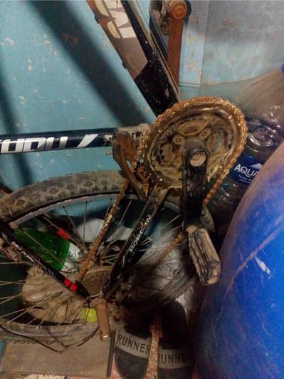 japane cycle