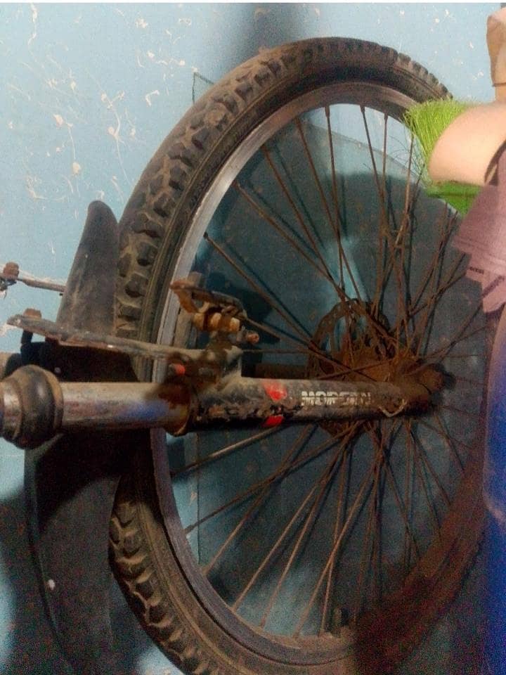 japane cycle 1