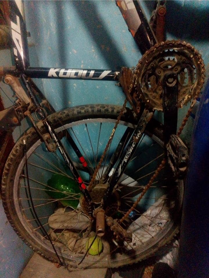 japane cycle 2