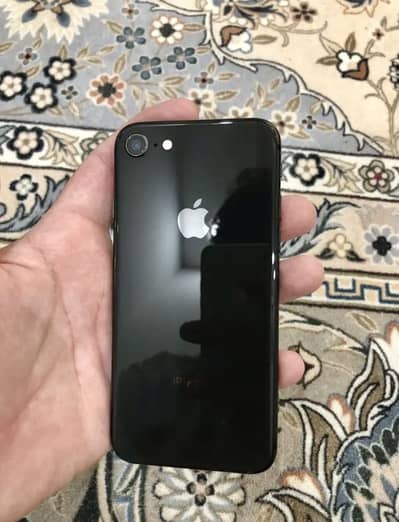 Apple iPhone 8 (Lush Condition & Sim Time)