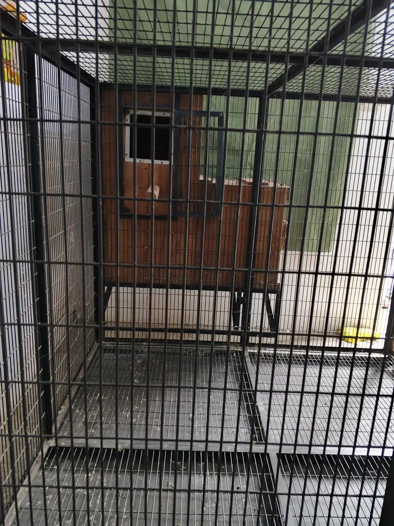 Macaw cage with Box Folding — photo 2