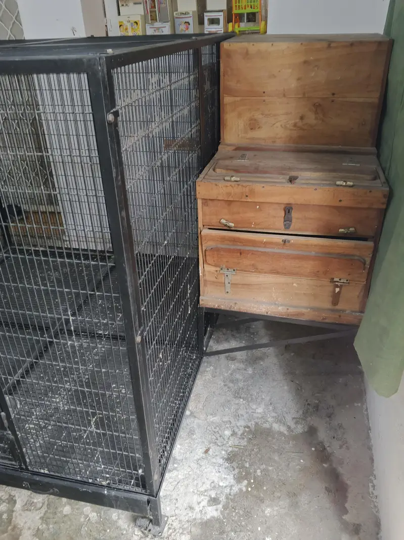 Macaw cage with Box Folding — photo 3