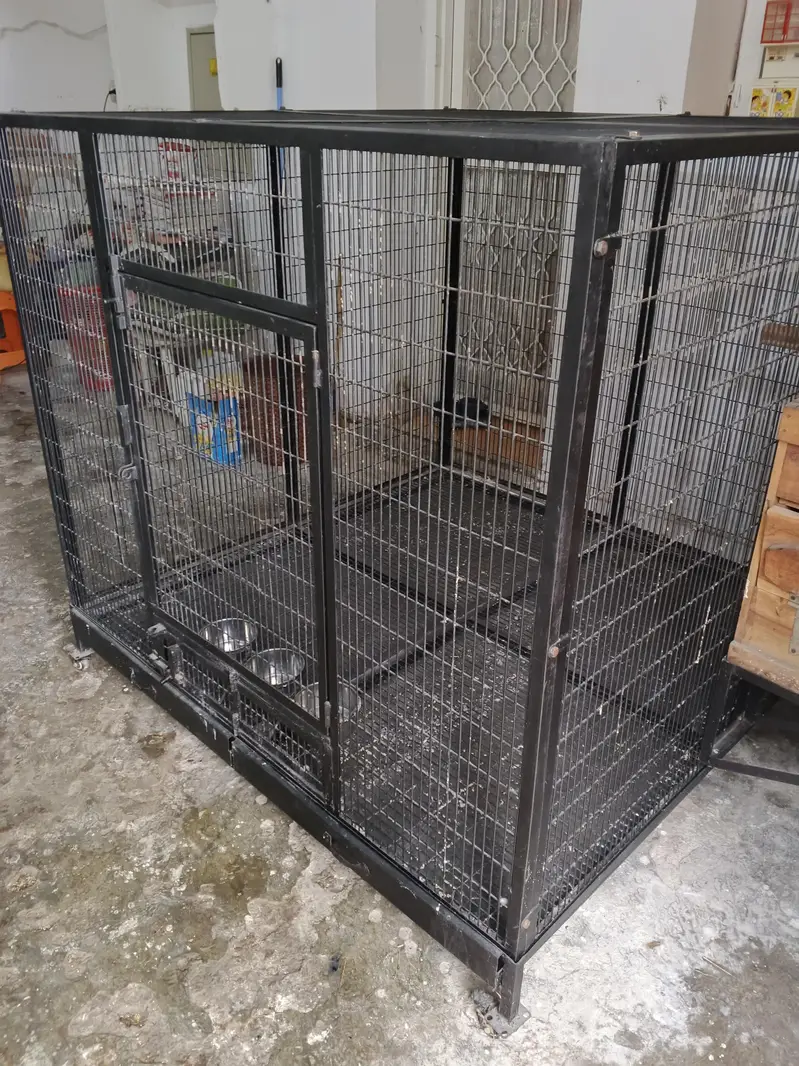 Macaw cage with Box Folding — photo 4
