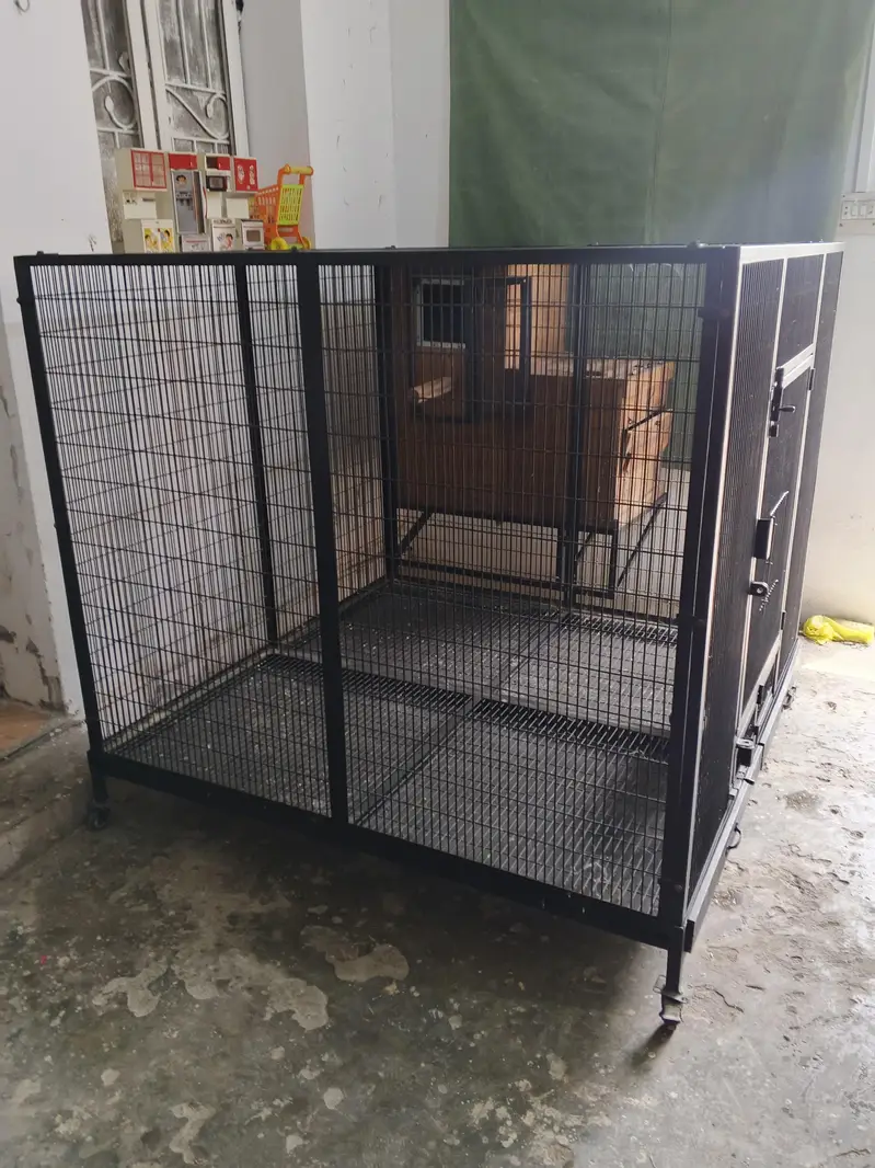 Macaw cage with Box Folding — photo 5