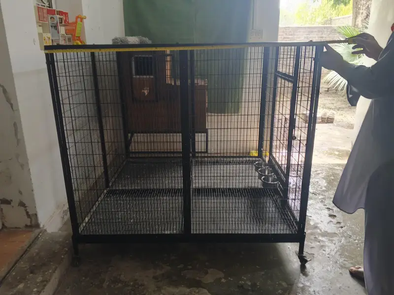 Macaw cage with Box Folding — photo 8