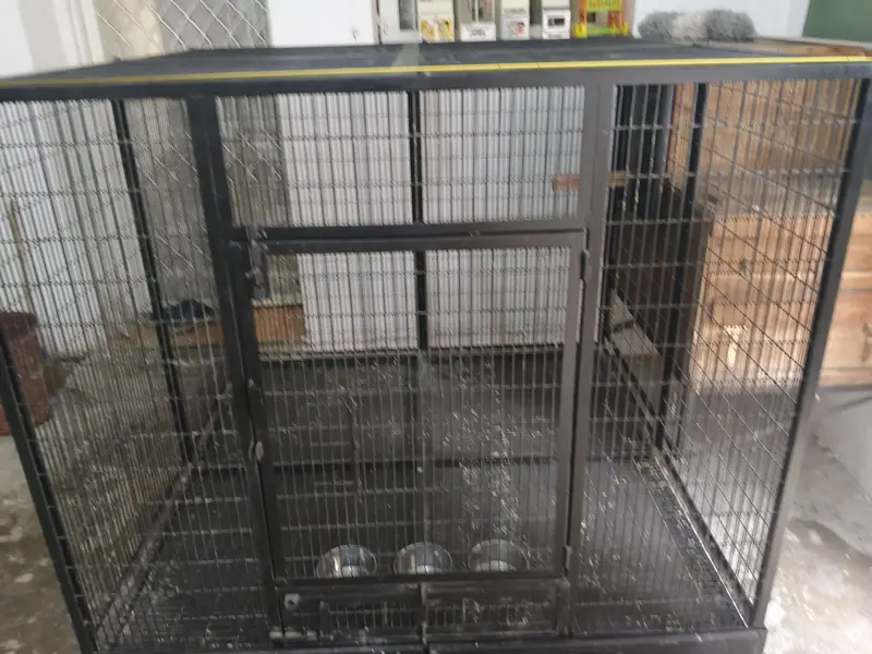 Macaw cage with Box Folding — photo 12