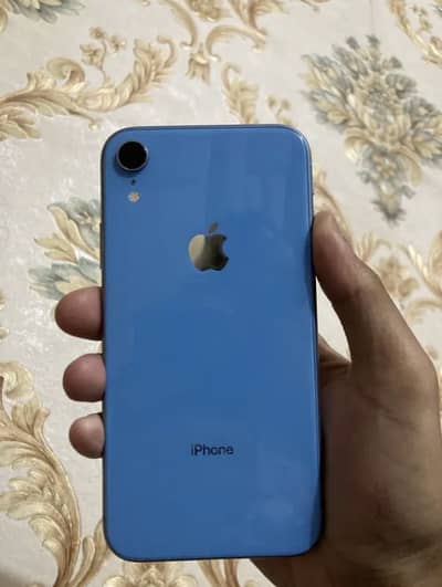 iPhone XR 64GB PTA Approved