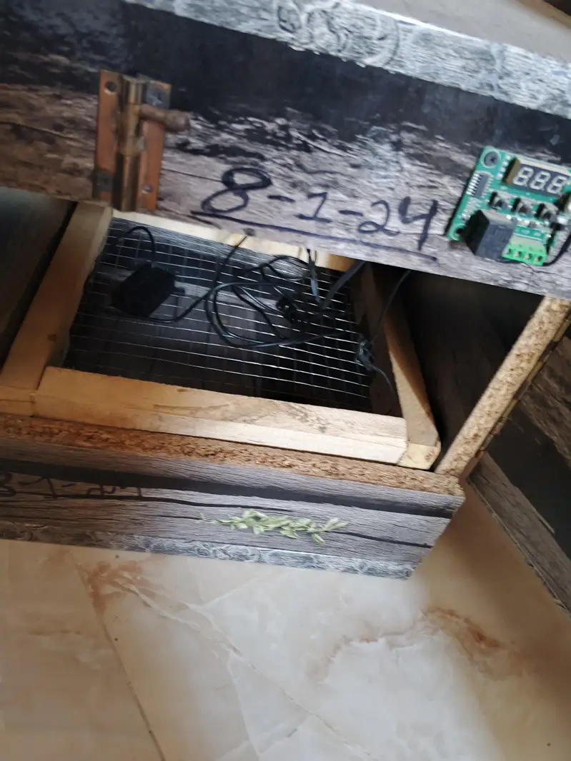 egg incubator — photo 3