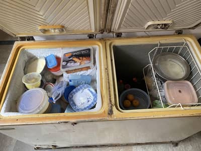 Waves Double Door Deep Freezer – Full Size | Excellent Cooling