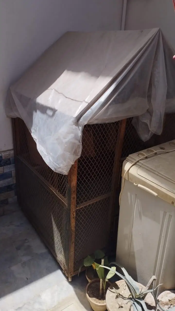 pinjra 4×4 for sale — photo 2