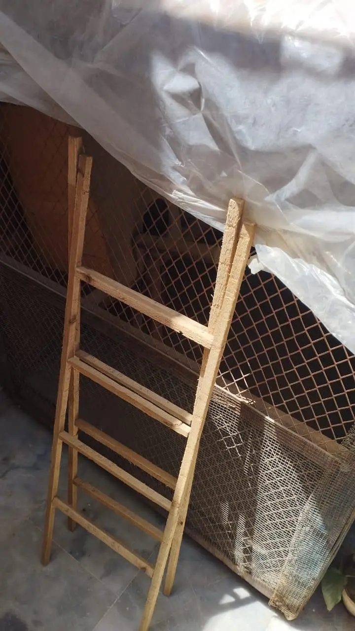 pinjra 4×4 for sale — photo 3
