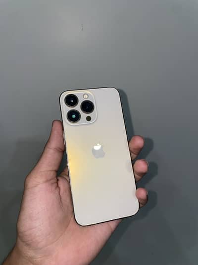Apple iPhone 13 Pro