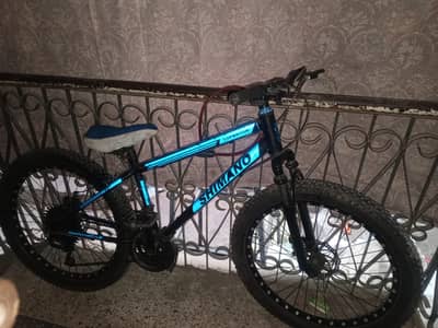 fat tyre bicycle