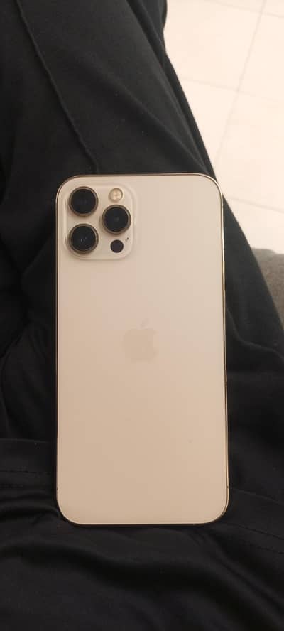 Iphone 12 Pro Max