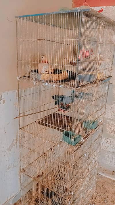 new cage just colour ho ga best metal
