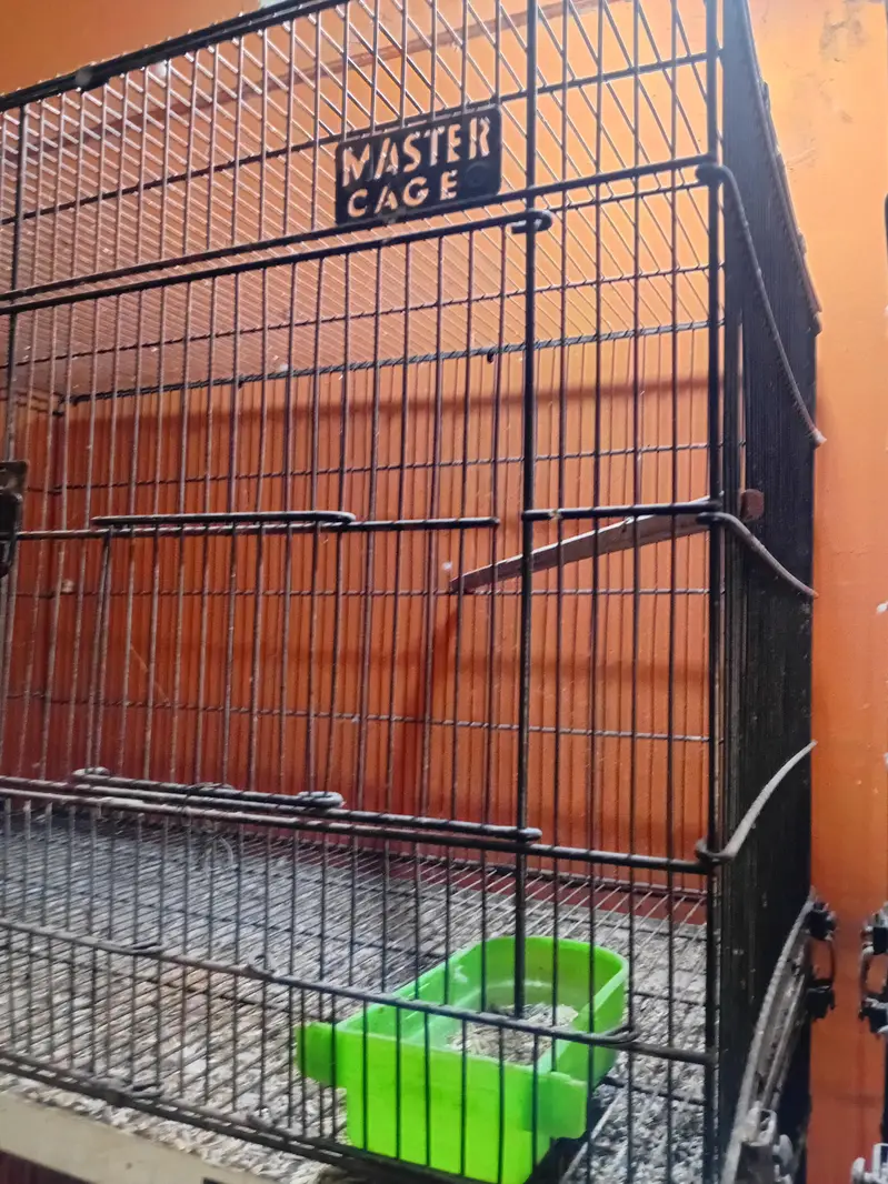 master cages — photo 5