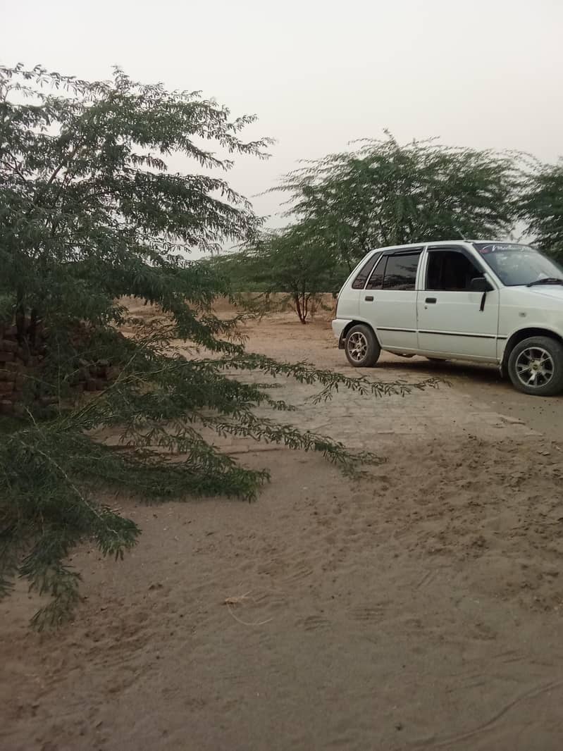 Mehran 2007 13