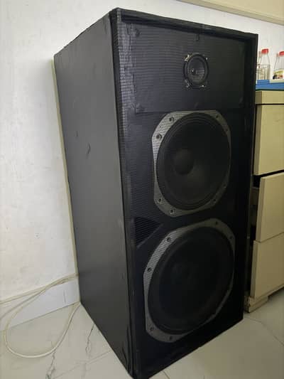 1000 watt indoor outdoor Bluetooth mic with effect