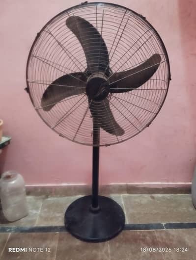 Pak fan